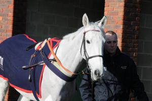 Smad Place still looks good each way value at 25/1. Photo taken by @fivestripes 